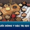 Thuốc đông y đặc trị sẹo rỗ có tốt không? Đánh giá từ bác sĩ Da liễu