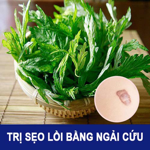 Sự thật về Cách Trị Sẹo Lồi bằng NGẢI CỨU bạn nên biết